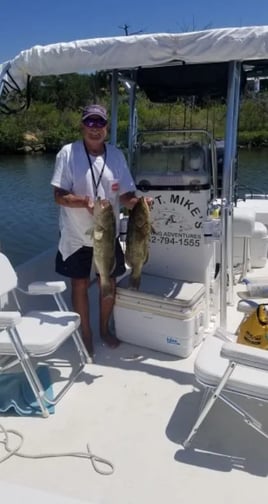 Crystal River Scalloping Trip