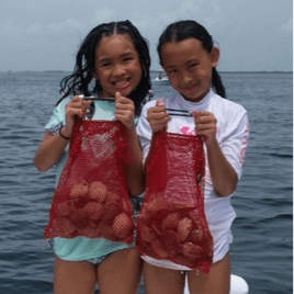 Crystal River Scalloping Trip