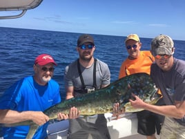 Mahi Mahi Fishing in Port Orange, Florida