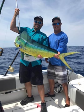 Mahi Mahi Fishing in Port Orange, Florida