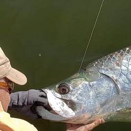 Caribbean Fishing Adventure