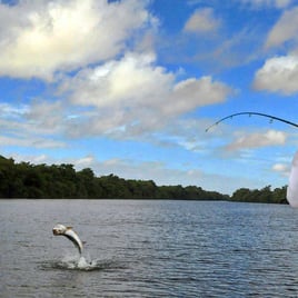 Caribbean Fishing Adventure