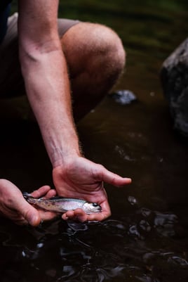 Kilimanjaro Trout Fishing