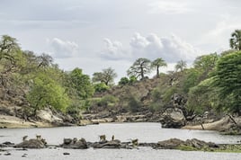 Tanzania Tiger Fish Safari