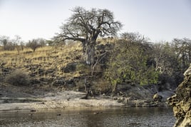 Tanzania Tiger Fish Safari