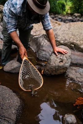 Kilimanjaro Trout Fishing