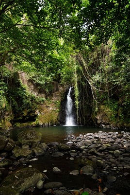 Kilimanjaro Trout Fishing