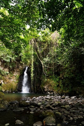 Kilimanjaro Trout Fishing