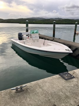 Puerto Rico Inshore Adventure