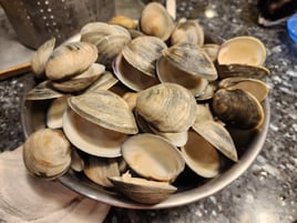 Ocean City Clamming, Island Hopping, Booze Cruise