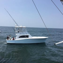 Virginia Beach Luxury Inshore Trip