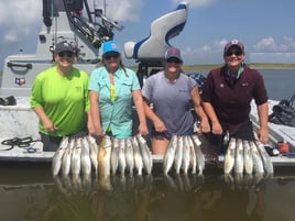 Texas Gulf Coast Inshore Action