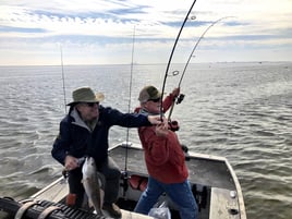 Texas Gulf Coast Inshore Action