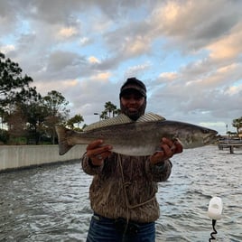 Speckled Trout Fishing in Flagler Beach, Florida