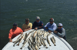 Full Day or Half-day Fishing Trip