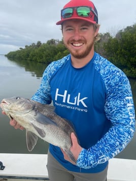 Black Drum Fishing in Oak Hill, Florida