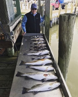 Sheepshead, Speckled Trout Fishing in San Leon, Texas