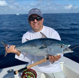 False Albacore Fishing in Jupiter, Florida