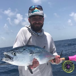 False Albacore Fishing in Jupiter, Florida