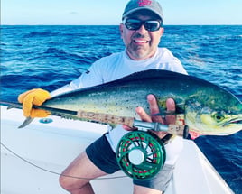 Mahi Mahi Fishing in Jupiter, Florida