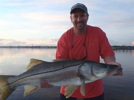 Snook Fishing in Jupiter, Florida