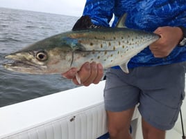 Jupiter Inlet On the Fly