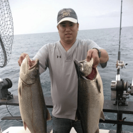 Kings, Coho, & Big Ol' Lake Trout