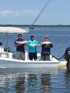 Holmes Beach Fishing Frenzy