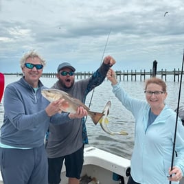 Holmes Beach Nearshore Trip