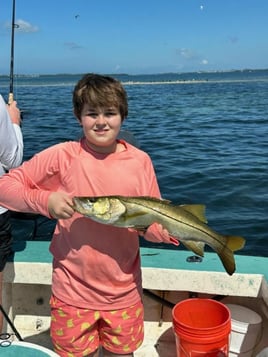 Holmes Beach Nearshore Trip