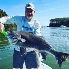 Black Drum Fishing in New Smyrna Beach, Florida