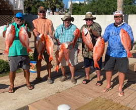 Half Day Offshore Fishing