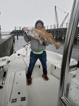 Black Drum Fishing in Pensacola, Florida