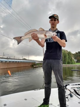 Redfish Fishing in Clear Lake Shores, Texas