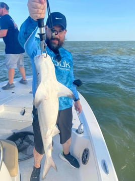 Clear Lake Inshore Slam