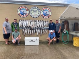 Luxury Lake Michigan Trout & Salmon