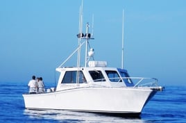 Full Day Montauk Charter