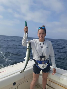 Gulf Side Nearshore Trip