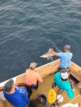 Destin Deep Sea Adventure