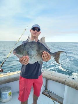 Destin Deep Sea Adventure