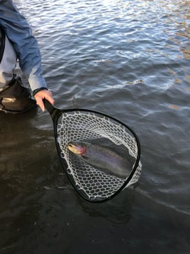 On Water Fly Fishing Lessons