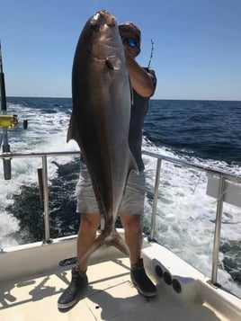 Orange Beach Trolling and Reefing