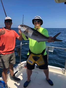 Orange Beach Trolling and Reefing