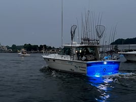 Lake Michigan Trout & Salmon