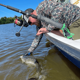 Puerto Rico Tarpon Charter