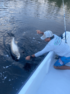 Puerto Rico Tarpon Charter