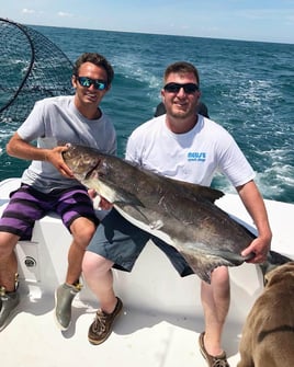 Hatteras Inshore & Nearshore