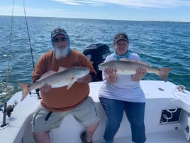 Hatteras Inshore Experience