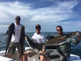 Hatteras Inshore & Nearshore