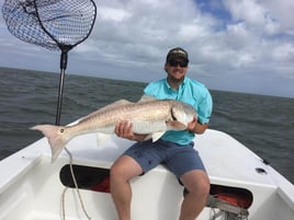 Hatteras Inshore & Nearshore